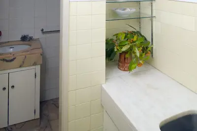 a bathroom with a sink and a potted plant on a counter at 602 Casa Alma Mar in Luz