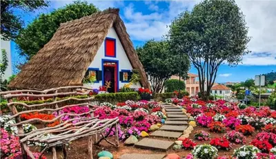a garden of flowers in front of a house at Casa da Avó in Machico