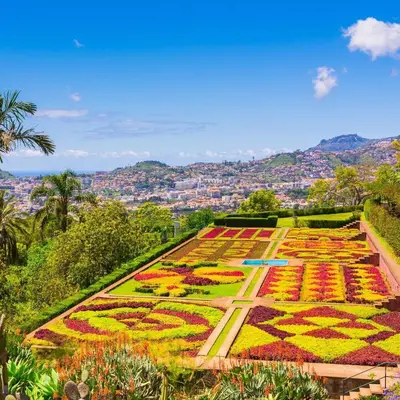 a garden of flowers with a city in the background at Funchal Boa Nova Apartment in Funchal