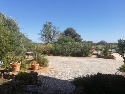 a garden with a lot of plants and trees at Chambres Guest house in Bensafrim