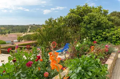 a garden with colorful flowers and a blue chair at Bela casa na Costa Vicentina in Aljezur
