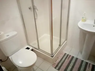 a bathroom with a shower and a toilet and a sink at Costa Lodges Funchal, Santa Cruz, private room in Santa Cruz