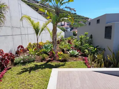 a garden with a palm tree in a yard at Stunning Lobos View in Câmara de Lobos