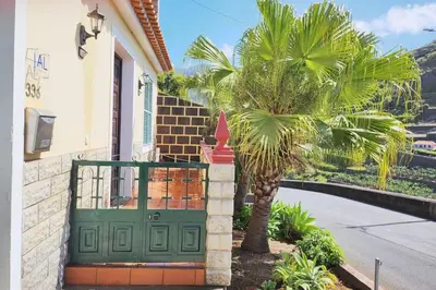 a green door on a house with a palm tree at Gomes house in Ponta do Sol
