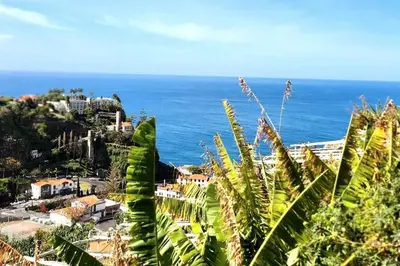 a view of the ocean from a hill with plants at Gomes house in Ponta do Sol