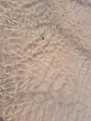 a close up of the sand in the water at Sunny Aljezur da Viana, (Aljezur, Costa Vicentina) in Aljezur