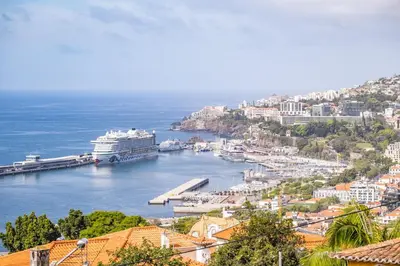 a cruise ship docked in a harbor at Uptown Sea View by Homie in Funchal