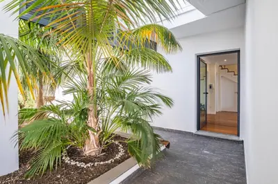a palm tree in a hallway next to a door at Uptown Sea View by Homie in Funchal