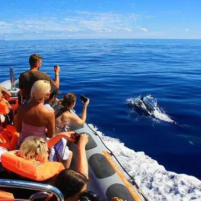 a group of people on a boat looking at a whale at Blue by the Sea House in Paul do Mar