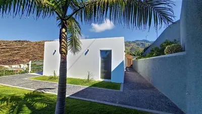 a palm tree in front of a white house at Villa Blue Horizon by LovelyStay in Tábua
