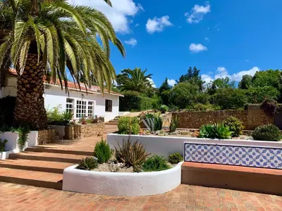 a garden with a palm tree and a bench at O Ninho in Atalaia
