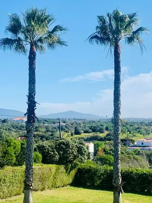 a blue door in a white house with plants at Quinta da Bela Vista in Lagos