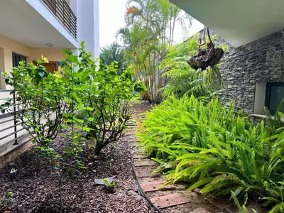 a garden with green plants and a building at Agustin's House in Funchal