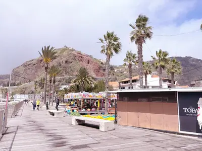 a boardwalk with palm trees and a mountain in the background at Angela`s Loft in Ribeira Brava