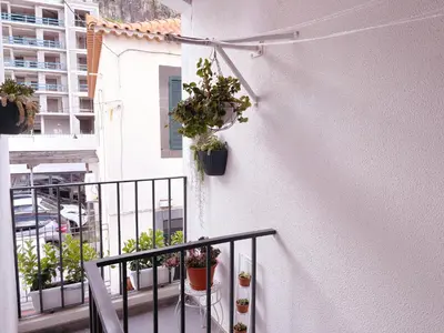a balcony with potted plants on a white wall at Angela`s Loft in Ribeira Brava