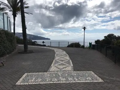 a brick walkway with a palm tree and the ocean at Apartamentos do Mar Funchal in Funchal