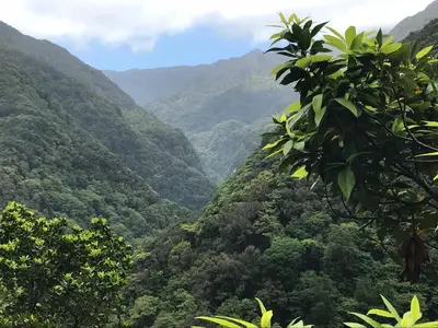 a view of a valley in the mountains at Penthouse Canico Mar in Caniço