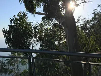 a statue of a woman in a tree at Penthouse Canico Mar in Caniço