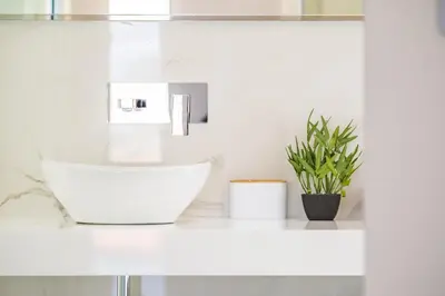 a white bathroom with a sink and a plant on a counter at Belle Maison by Homie in Funchal