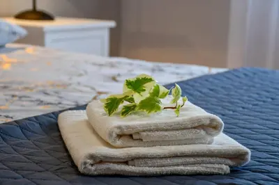 a stack of towels with a plant on a bed at Bluehouse Paraiso á beira Mar in São Vicente