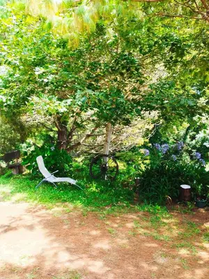 a wooden bench sitting on a porch with a table at Quinta Meneses in Santa Cruz