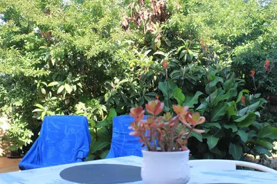 a table with two blue chairs and a vase with flowers at Blue Room in Pedralva