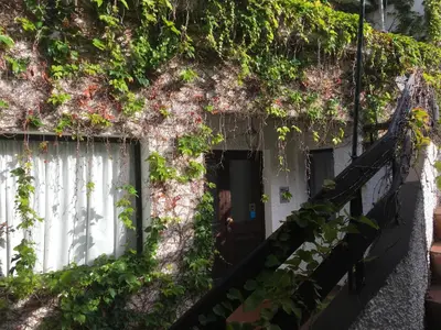 a house with vines growing on the side of it at Sea to see - sea front view in Caniço