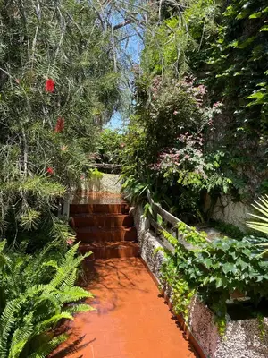 a set of stairs in a garden with plants at Sea to see - sea front view in Caniço