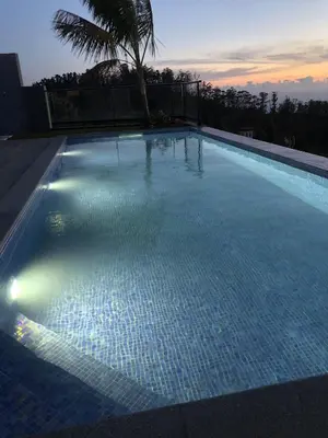 a large swimming pool with a palm tree in the background at Casa da Arvore in Arco da Calheta