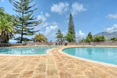 a swimming pool in a resort with palm trees at Monumental Tower, a Home in Madeira in Funchal