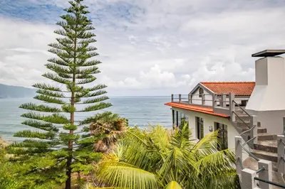 a tree next to a building with the ocean in the background at Northern Secret by Homie in Ponta Delgada