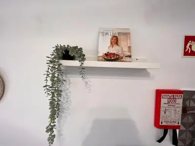 a shelf on a wall with a plant on it at Oásis de verão- 2 bedrooms flat with swimming pool in Sagres