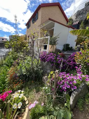 a small house with a red door on a hill at Tropical House in Ribeira Brava