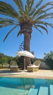 a palm tree and an umbrella next to a swimming pool at RÉSIDENCE LES ARCADES in Almádena