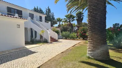 a palm tree in front of a house at RÉSIDENCE LES ARCADES in Almádena
