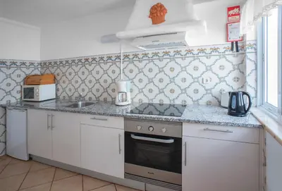 a small kitchen with a stove and a sink at Garden T2 Apartment in Luz in Luz