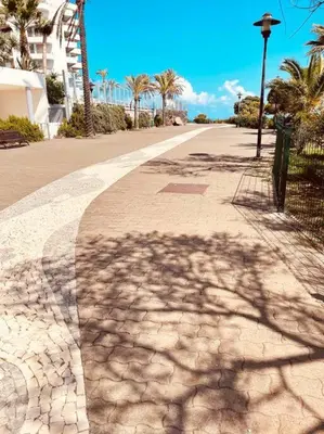a shadow of a palm tree on a sidewalk at Seaview Apartment walking to the Beach in Funchal