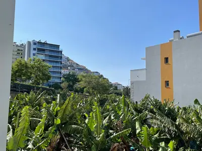 a field of banana plants with buildings in the background at Beach&Comfort Cozy Apartment by the Ocean in Funchal