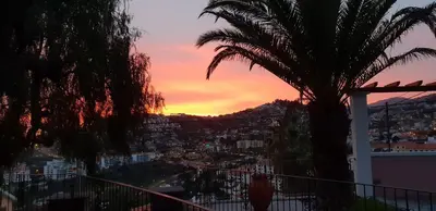 a sunset over a city with a palm tree at Casa da Quinta in Funchal