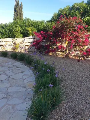 a garden with pink flowers and a stone wall at Stunning Villa with Pool & View near beach in Budens
