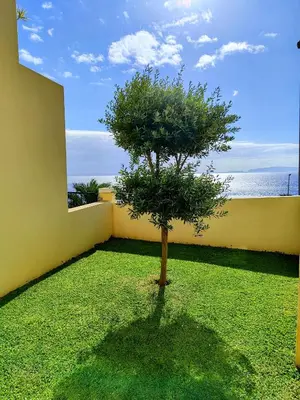 a small tree in the middle of a yard at Sun Hill Apartment in Santa Cruz