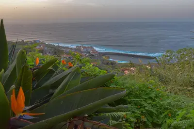 a view of the ocean from a hill with flowers at Rita's house in Ponta Delgada