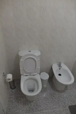 a bathroom with a toilet and a sink at Rita's house in Ponta Delgada