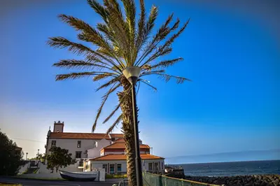 a palm tree in front of a house and the ocean at Rita's house in Ponta Delgada