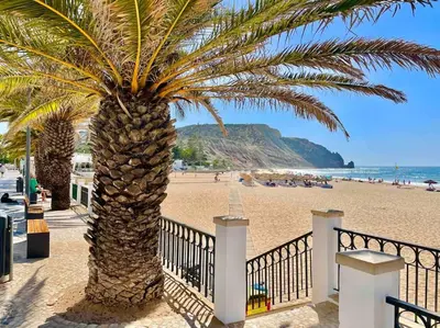 a palm tree on a beach next to a fence at Ocean Breeze & Sea Salt Apartment in Luz