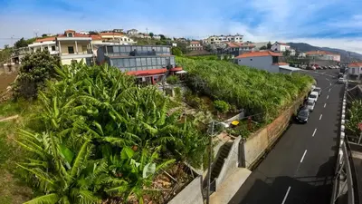 arial view of a city with a road and palm trees at Panoramic House in Ribeira Brava