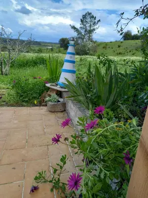 a blue and white cone sitting in a garden at Charme Rústico in Aljezur