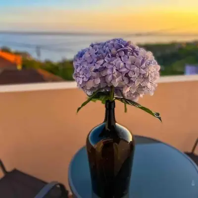 Apartment 1BR Hills over Ponta do Sol