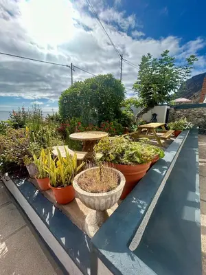 a row of potted plants sitting on a ledge at Casa Carneirinho by Olá Madeira in Paul do Mar