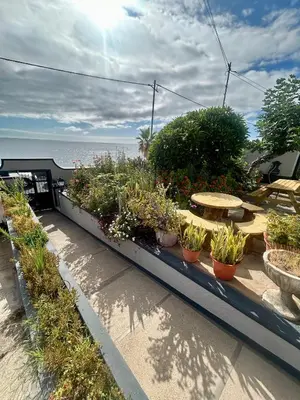 a row of potted plants and a table on a balcony at Casa Carneirinho by Olá Madeira in Paul do Mar